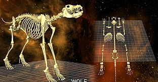 World of Guns: 5 Skeletons Pack