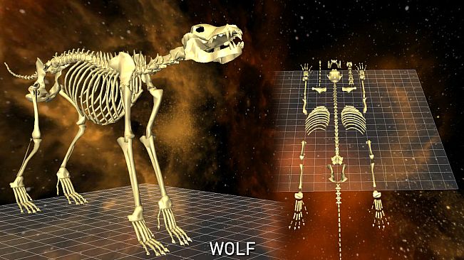 World of Guns: 5 Skeletons Pack