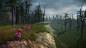 Timemelters - Friend Pass