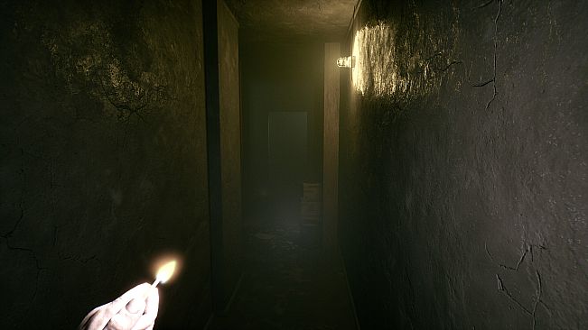 Echoes in Darkness