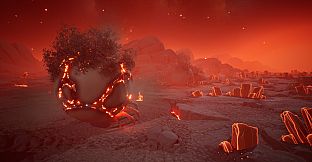 Lifecycles of the Traveler Spider