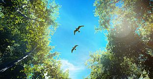 Birding Simulator: Bird Photographer