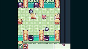 Toni Island Adventure