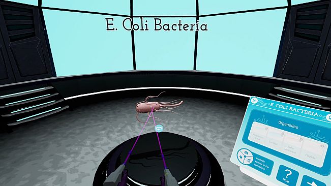 Looking Inside Cells