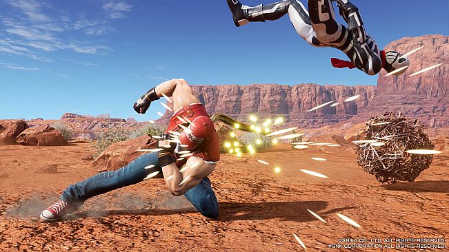 FIGHTING EX LAYER - Character: Terry