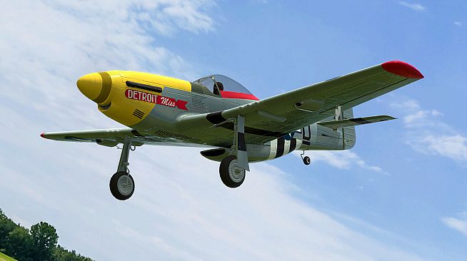 RealFlight Evolution - 2024 Year Content Pass