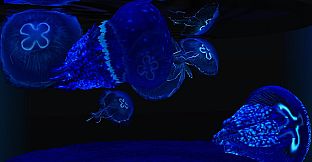 Behind Glass: Aquarium Simulator - Round Tank and Jellyfish Pack