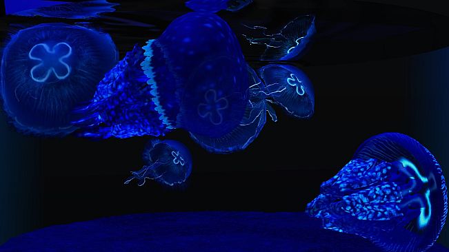 Behind Glass: Aquarium Simulator - Round Tank and Jellyfish Pack