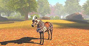 Horse Spirit Valley