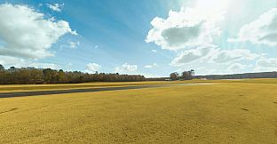 RealFlight Evolution - Triple Tree Electric Flightline