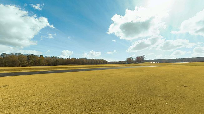 RealFlight Evolution - Triple Tree Electric Flightline