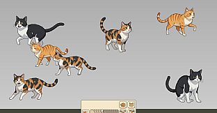 Nothing But Cats