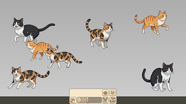 Nothing But Cats