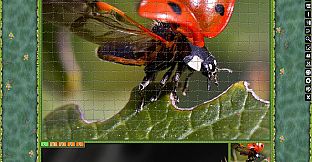 Jigsaw Puzzle Pack - Pixel Puzzles Ultimate: Variety Pack 6