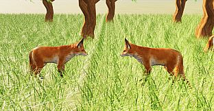 Spirit Fox