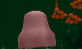 Hide and Seek - Beanie