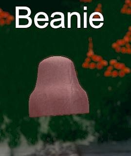 Hide and Seek - Beanie