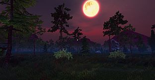 100 Nights In The Forest