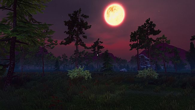 100 Nights In The Forest