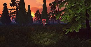 100 Nights In The Forest