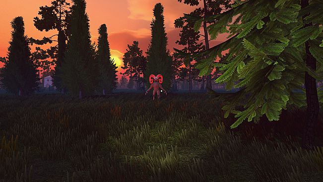 100 Nights In The Forest