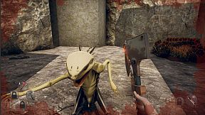 Hunted Within: The Walls