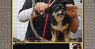 Pixel Puzzles Traditional Jigsaws Pack: Chihuahuas