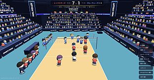 National Volley