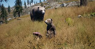 Railroads Online - Explorer DLC