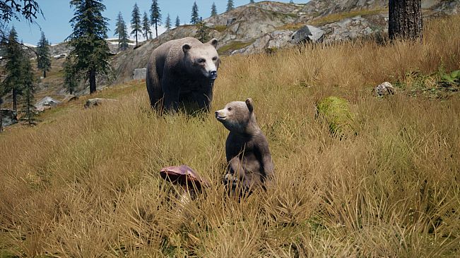 Railroads Online - Explorer DLC