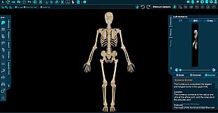 Vesalii Anatomy 3D Student