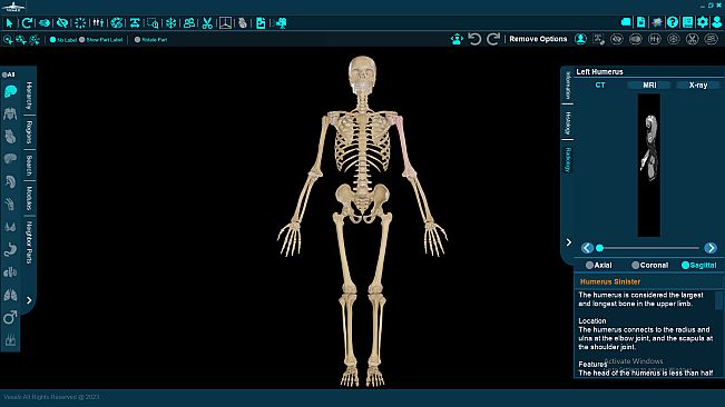 Vesalii Anatomy 3D Student