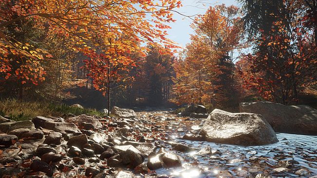 theHunter Call of the Wild - New England Mountains