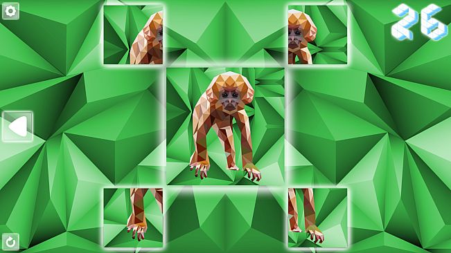 Poly Puzzle: Primates