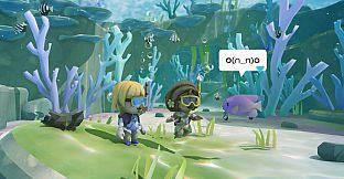 Splash Divers