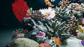 Sea Aquarium Screensaver