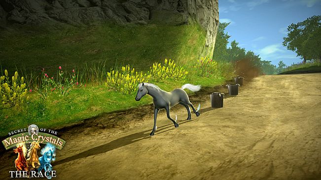 Secret of the Magic Crystals - The Race