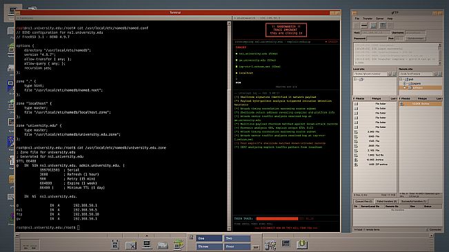 Netshell