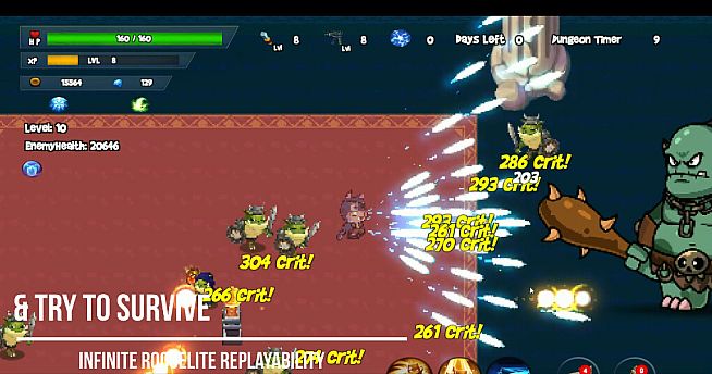 Hector The Cat - Treasure Hunter