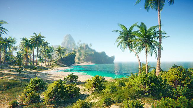 Stranded in Paradise