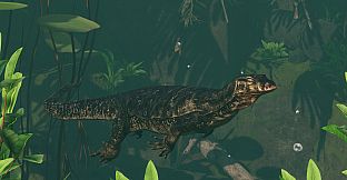 Planet Zoo: Tropical Pack