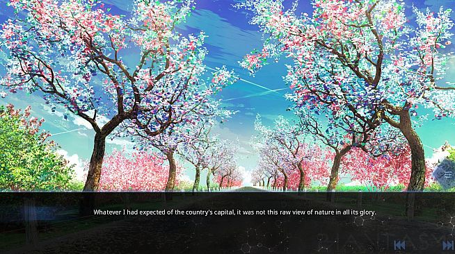 To the Edge of the Sky: Operation Phoenix