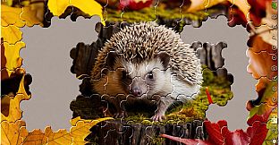 Master of Pieces Jigsaw Puzzle DLC - Golden Season