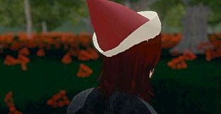 Hide and Seek - Santa Hat