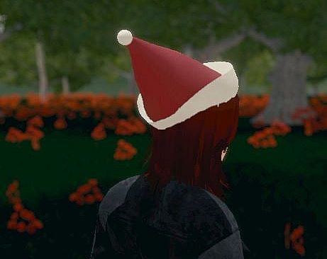 Hide and Seek - Santa Hat