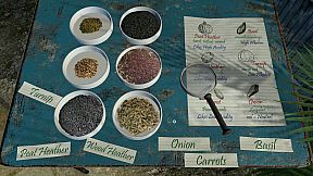 Dark Fall: Ghost Vigil