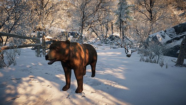 Animals for Clip maker