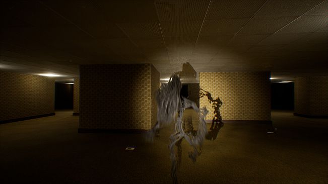 Deja Vu : The Backrooms