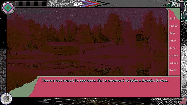 Laments of a Platinum Rose