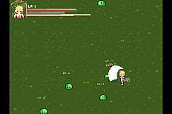 Dragon Slayer and The Leaf Town